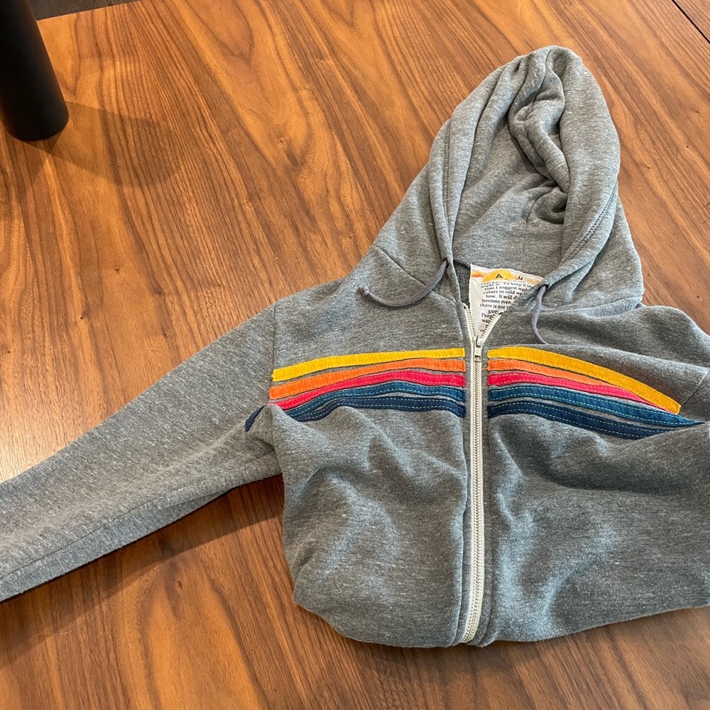 Aviator Nation Gray Zip Hoodie with Multicolor Stripe Accents - Picture 2 of 5